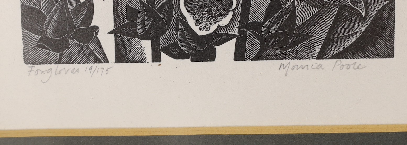Monica Poole (1921-2003), wood engraving, 'Foxgloves', signed in pencil, 19/172, 20 x 11cm